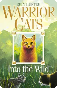 Fiction-ghostwriting-service